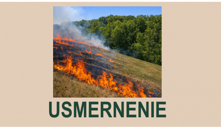 Usmernenie - Ochrana lesov pred požiarmi
