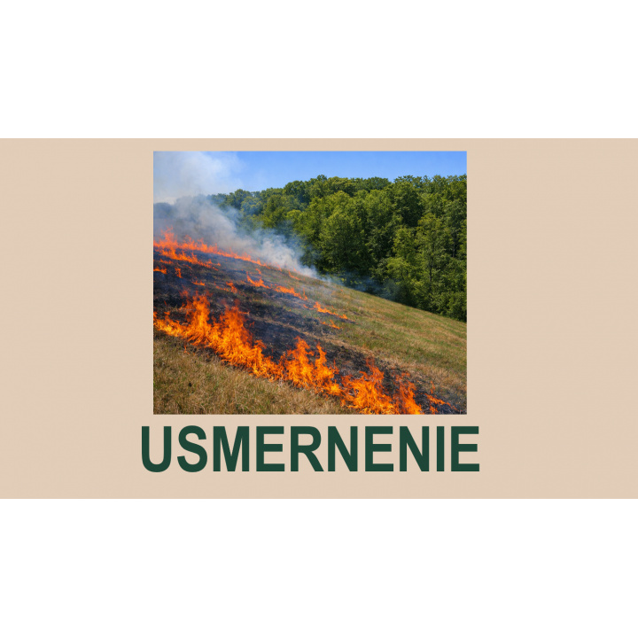 Usmernenie - Ochrana lesov pred požiarmi